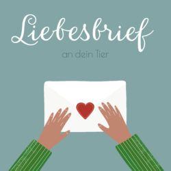 Dein Liebesbrief an dein Tier
