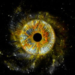 COSMIC · FLOW - Die Betriebsanleitung für dein Leben