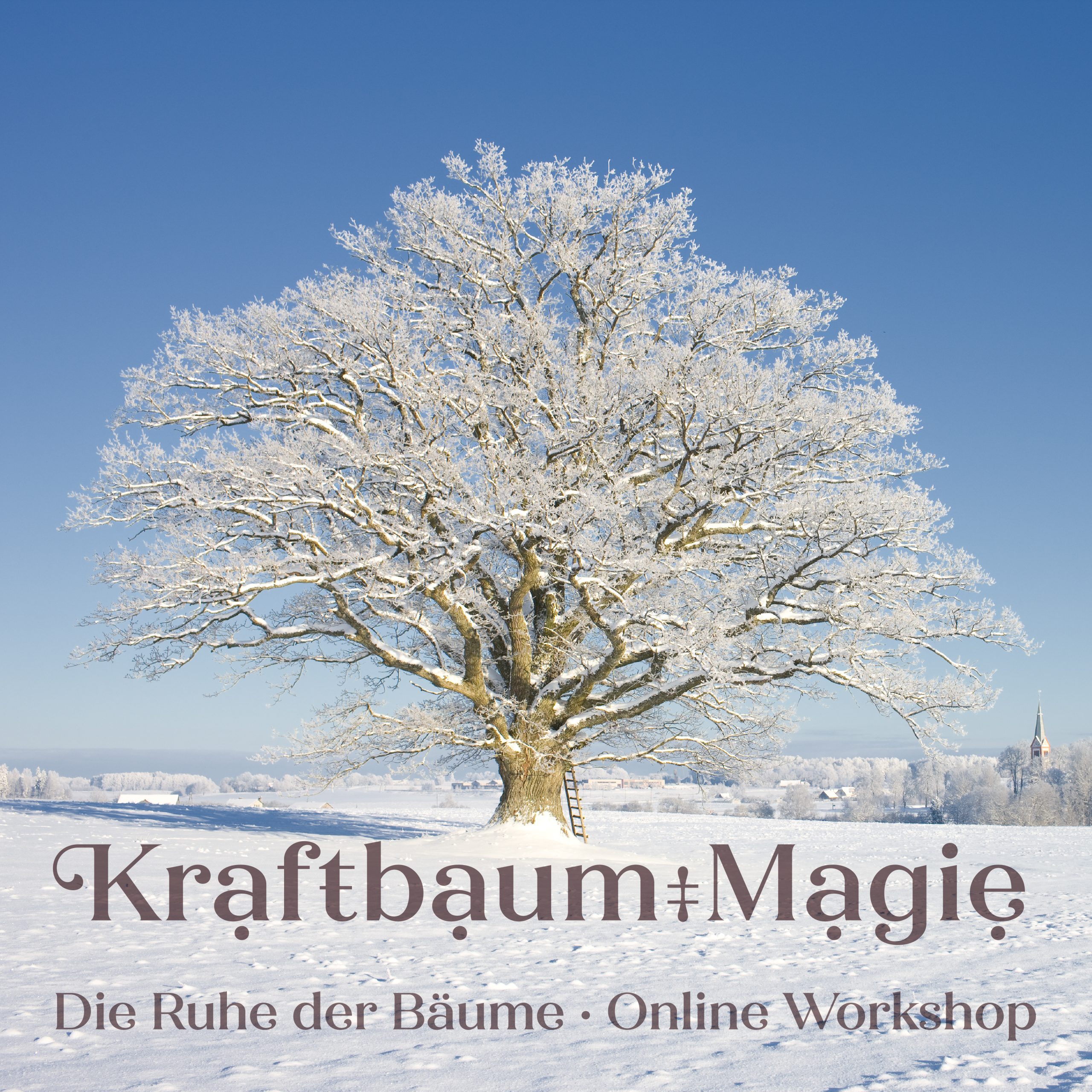 Die Ruhe der Bäume · KraftbaumMagie · Dein Online Workshop