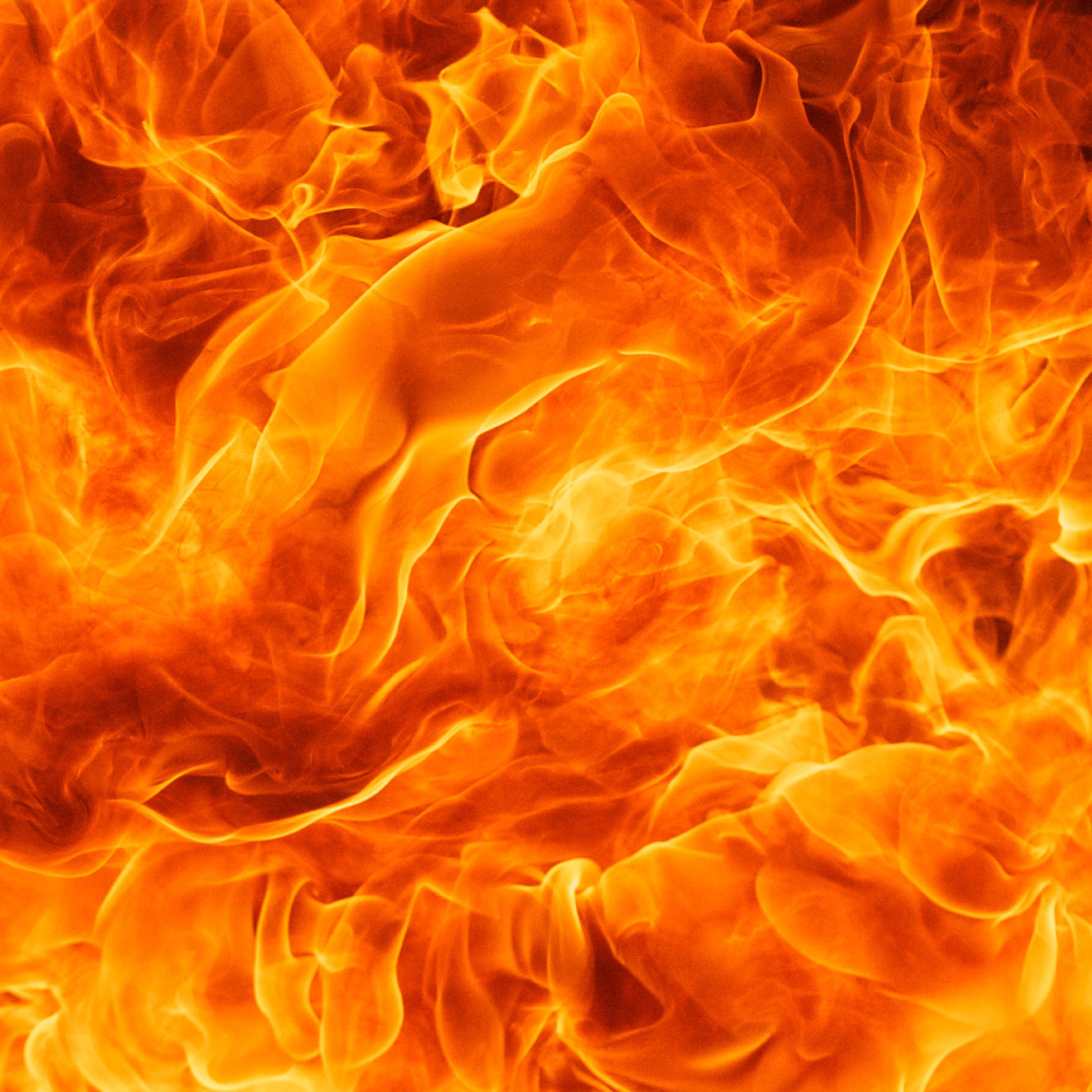 Die Magie der Elemente · Dein Online Workshop – Bild 4