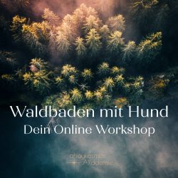 Waldbaden mit Hund · Dein Online Workshop