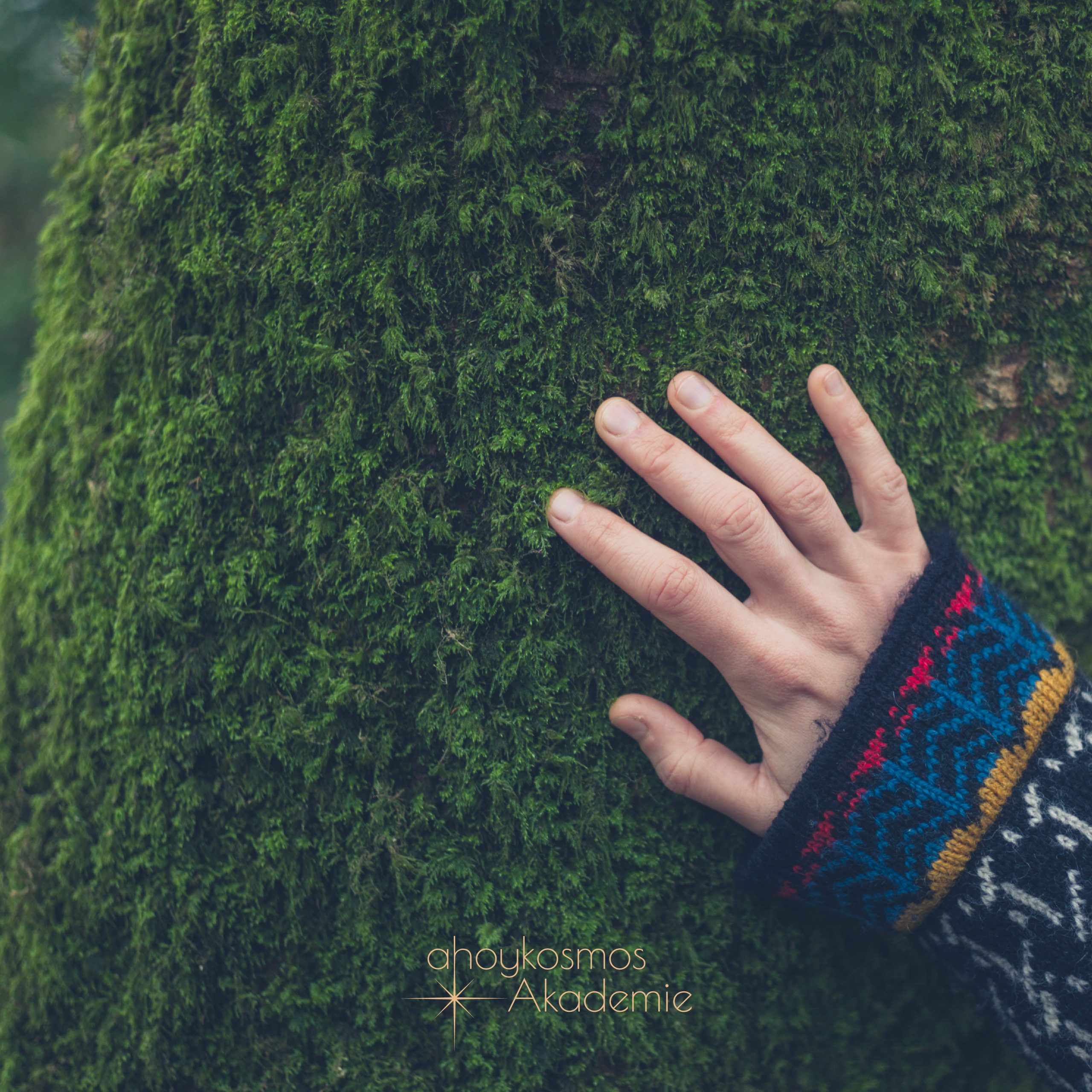 Waldbaden mit Hund · Dein Online Workshop – Bild 3