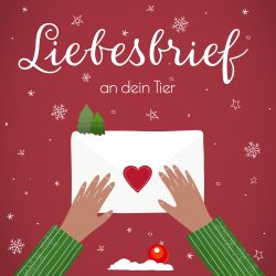 Liebesbrief an dein Tier · zur Weihnachtszeit