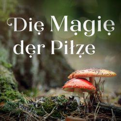 Die Magie der Pilze · Online Workshop