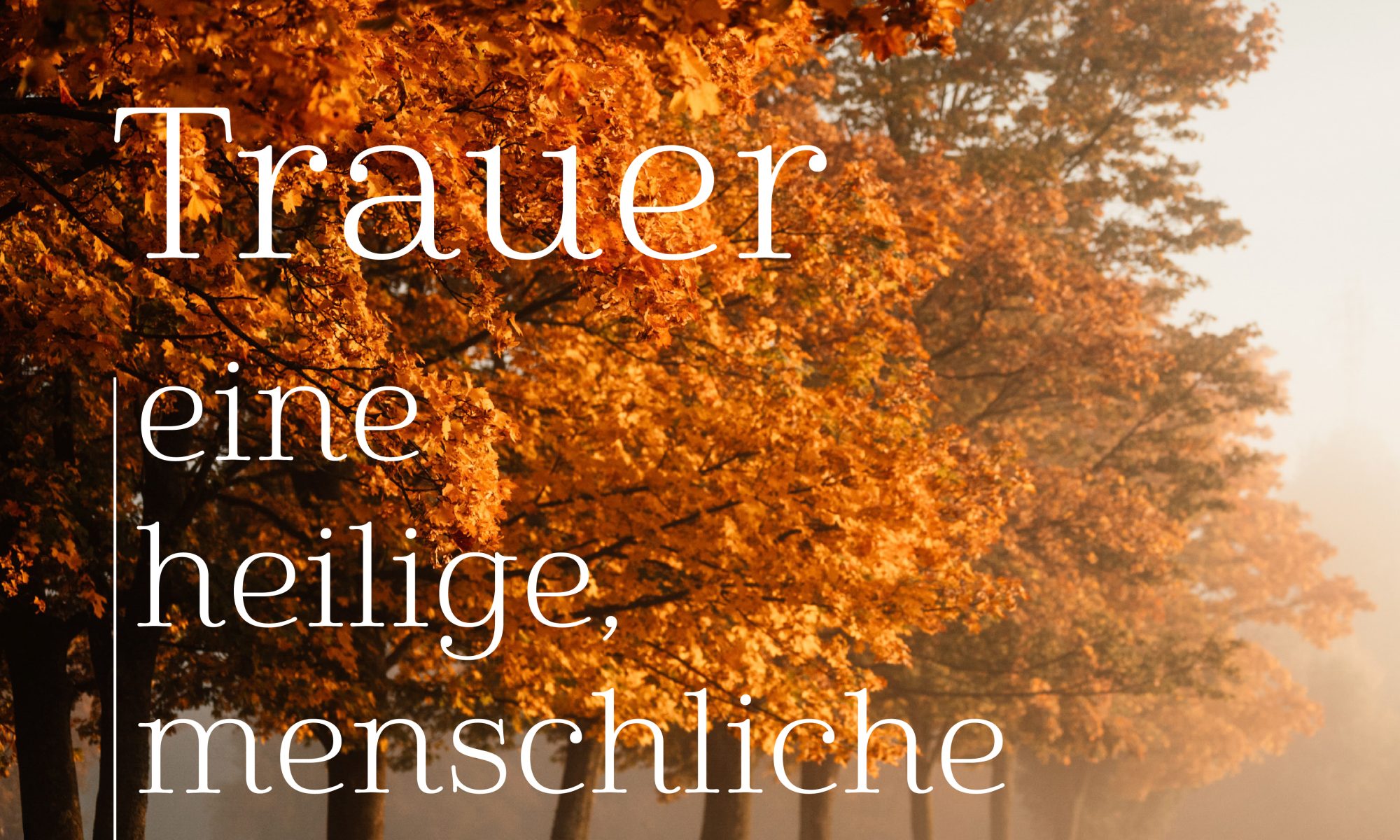 Trauer-Workshop online buchen · 12. & 19.11. | ahoykosmos