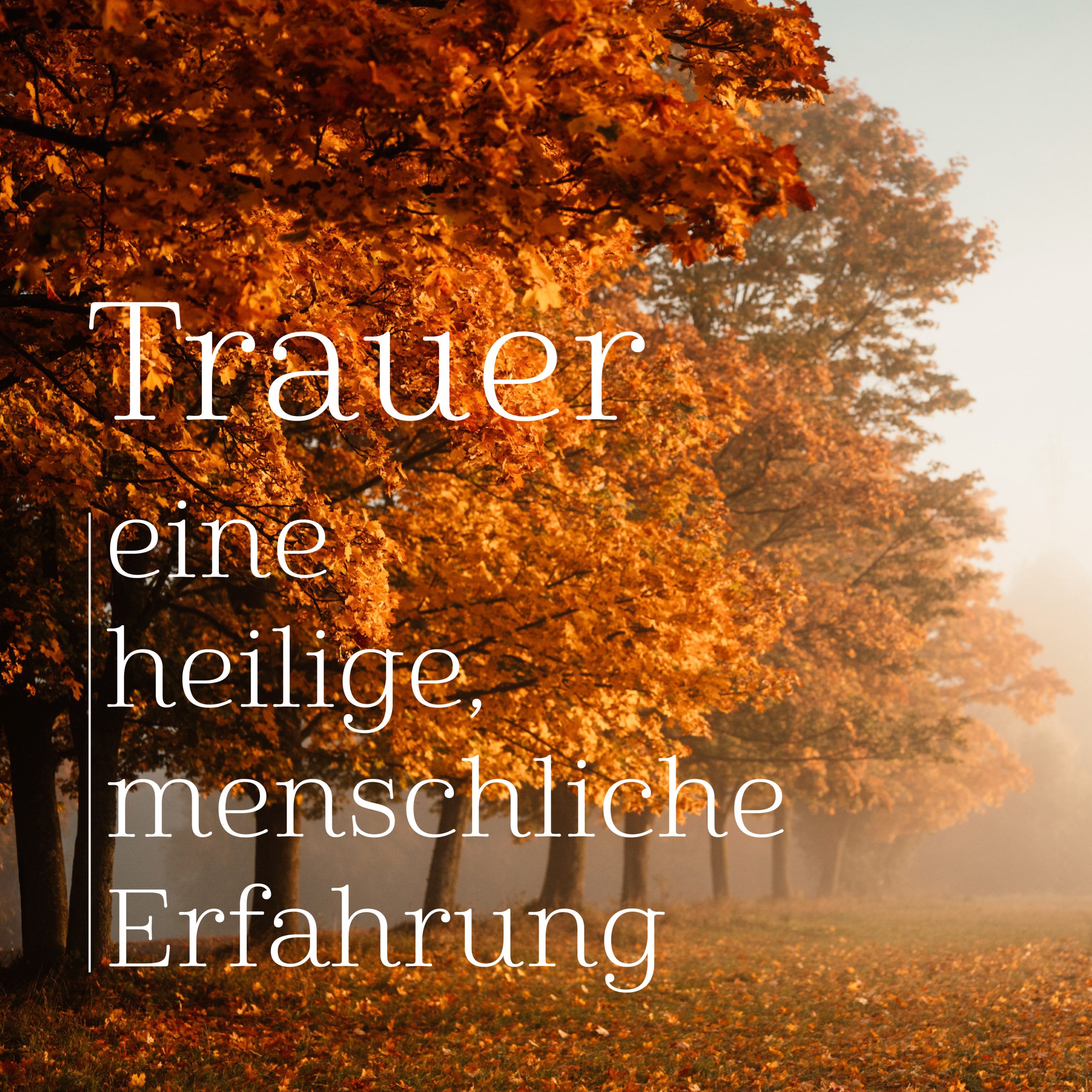 Trauer-Workshop online buchen · 12. & 19.11. | ahoykosmos